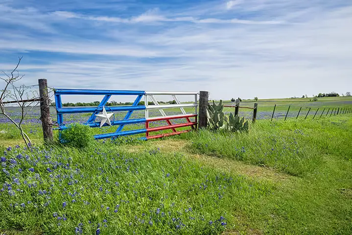 Texas landscape