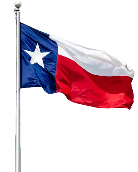 Texas state flag