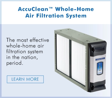 What Is an Air Purifier and Does My Home Need One?